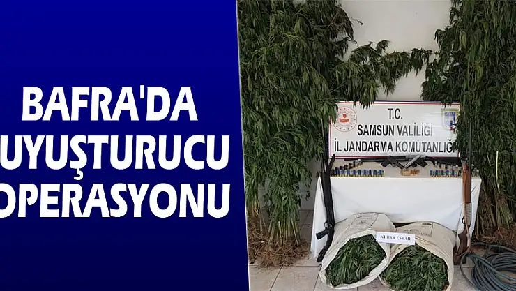 Bafra'da uyuşturucu operasyonu