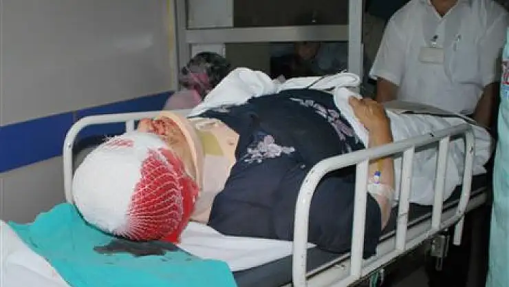 Ihlamur ağacından düştü