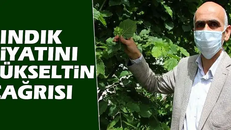 'Fındık fiyatını yükseltin' çağrısı