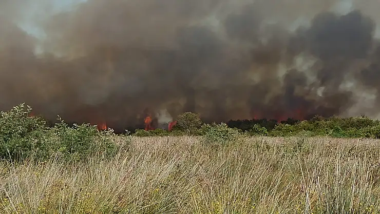 Kızılırmak Deltası'nda yangın