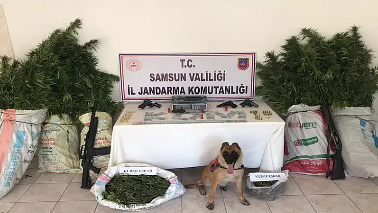 Bafra'da jandarma ekipleri uyuşturucu ve silah ele geçirdi