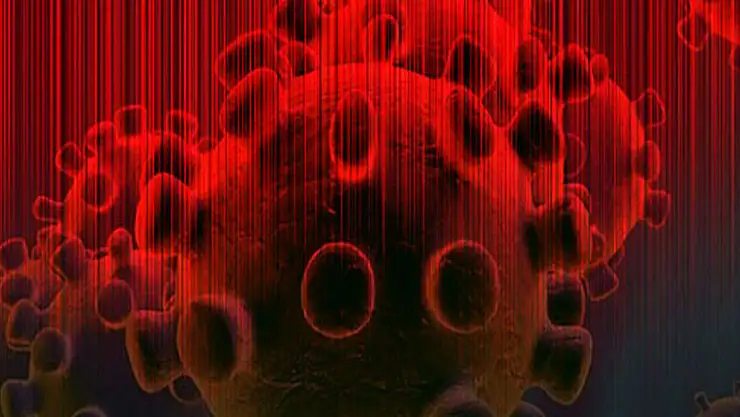 Dünya Sağlık Örgütü (WHO)'nden açıklama