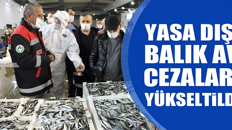 Yasa dışı balık av cezaları 50 bin TL'ye kadar yükseltildi