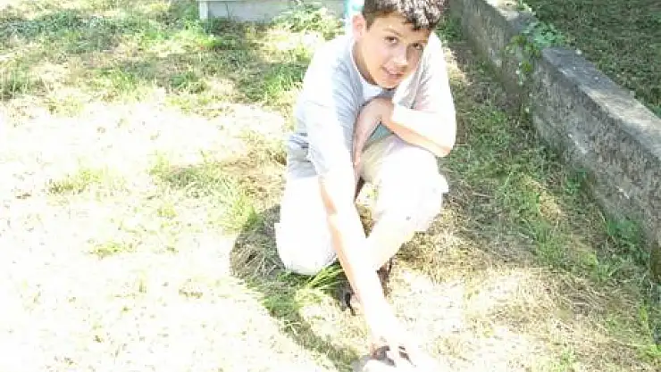 Sıcaklar onlara pek yaramadı