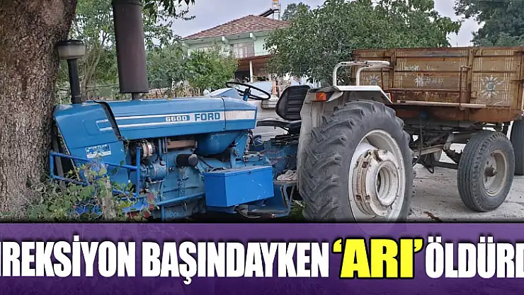 'Arı' Direksiyon Başındayken Öldürdü