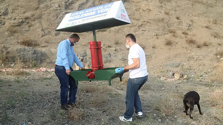 İlkadım can dostları unutmuyor