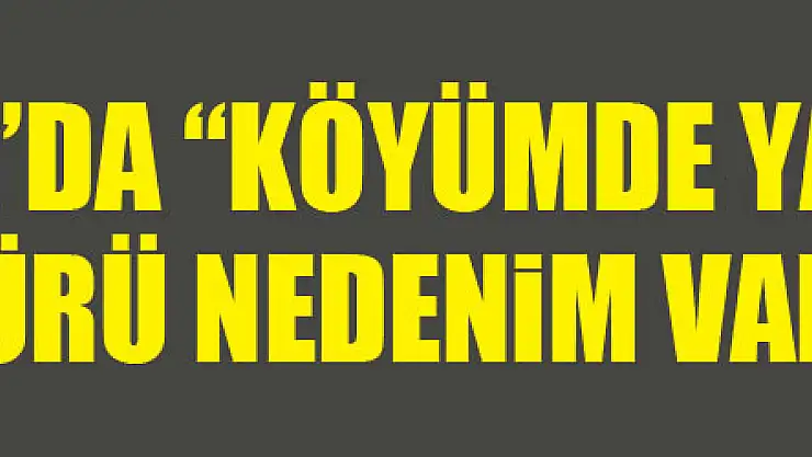 Samsun'da 'Köyümde Yaşamak İçin Bir Sürü Nedenim Var Projesi'