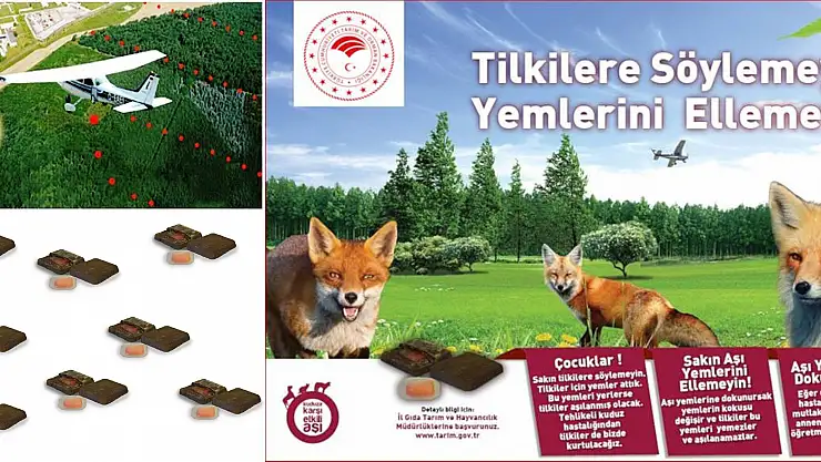 Kuduz hastalığına karşı yaban hayvanlarına havadan aşılama