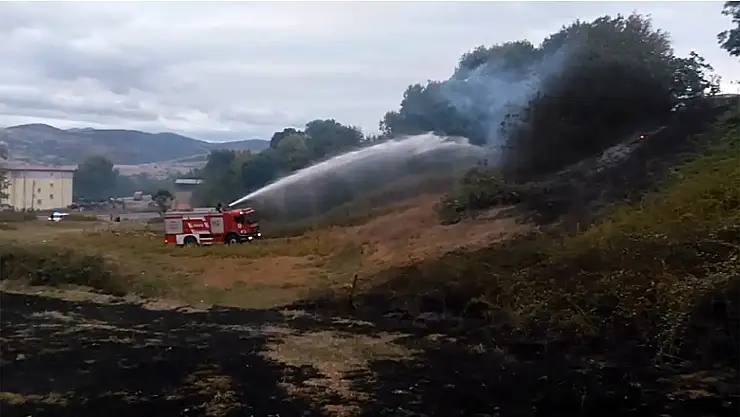 Anız yangını ağaçlık alana sıçradı