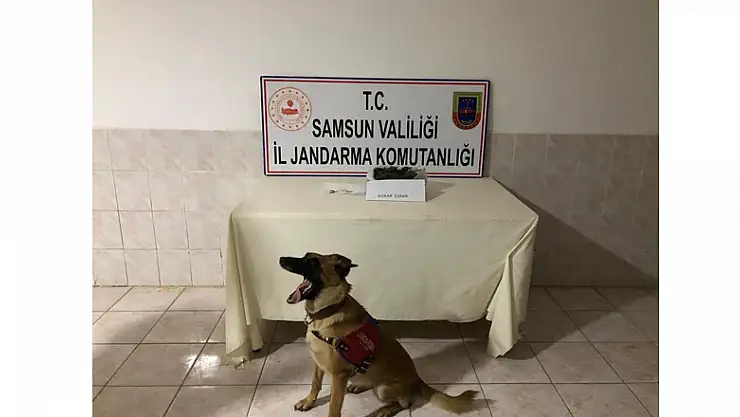 Bafra'da kubar esrar ele geçirildi