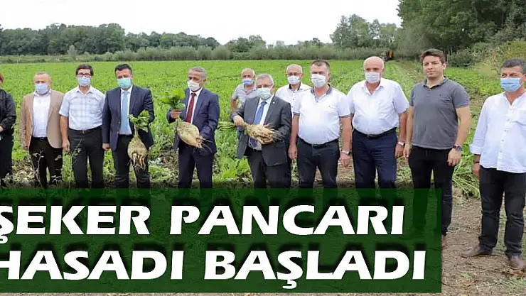 ŞEKER PANCARI HASADI BAŞLADI