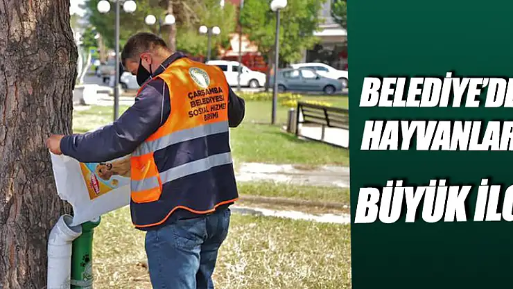 Belediye'den Hayvanlara Büyük İlgi