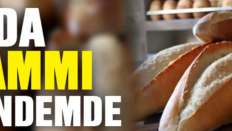 Samsun'da ekmek zammı yeniden gündemde