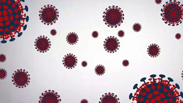 Küresel vaka sayısında rekor artış