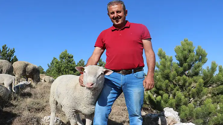 Koç gibi koç, tanesi 3 bin Euro