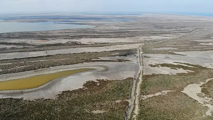 Kızılırmak Deltası'nda korkutan görüntü