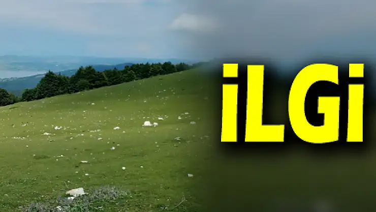 Tabiat parklarına olan ilgi azaldı