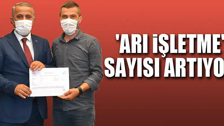 Samsun'da 'ari işletme' sayısı artıyor