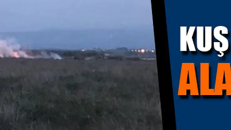 Kuş Cenneti sazlık alanda yangın