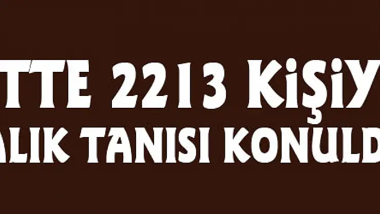 Türkiye'de son 24 saatte 2213 kişiye Kovid-19 hastalık tanısı konuldu