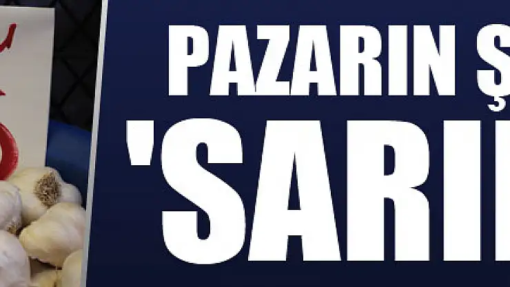Pazarın şampiyonu 'sarımsak'