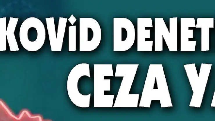 Samsun'da Kovid denetimlerinde 980 bin 773 TL ceza uygulandı