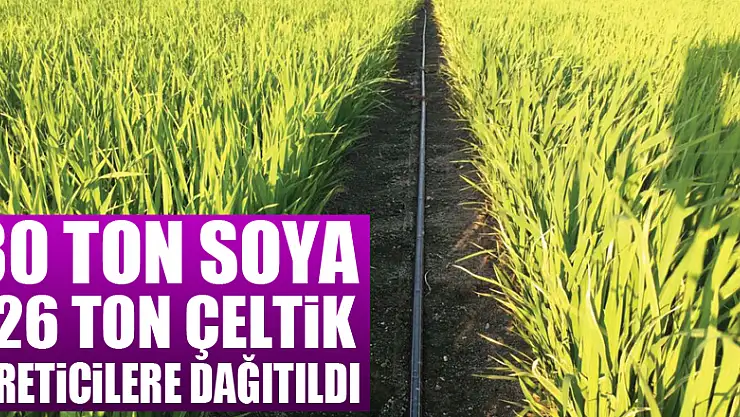 Samsun'da 30 ton soya ve 126 ton çeltik tohumu üreticilere dağıtıldı