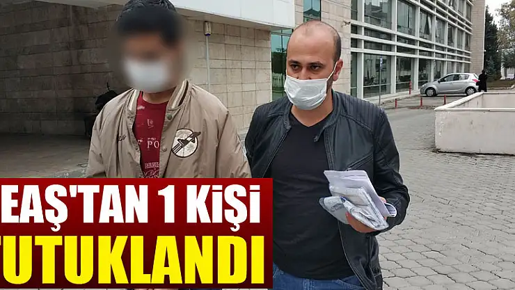 DEAŞ'tan 1 kişi tutuklandı