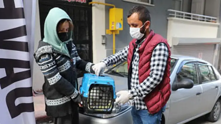Hasta kedinin yardımına İlkadım ekipleri koştu