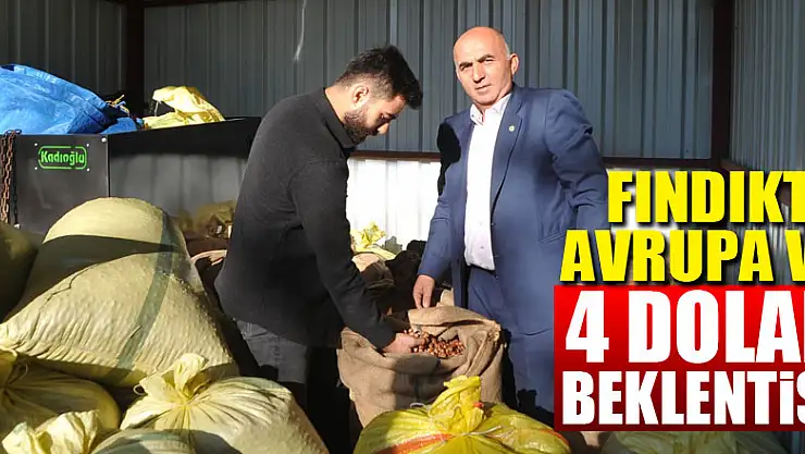 Fındıkta Avrupa ve 4 dolar beklentisi