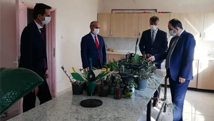 Bafra'nın 'Yeşil Elmas'ını üretiyor