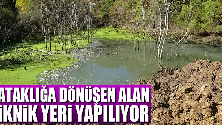 OMÜ'de bataklığa dönüşen alan piknik yeri yapılıyor