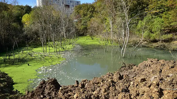OMÜ'de bataklığa dönüşen alan piknik yeri yapılıyor