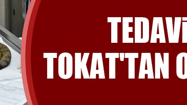 Yüksekten düşen kedisinin tedavisi için Tokat'tan OMÜ'ye geldi