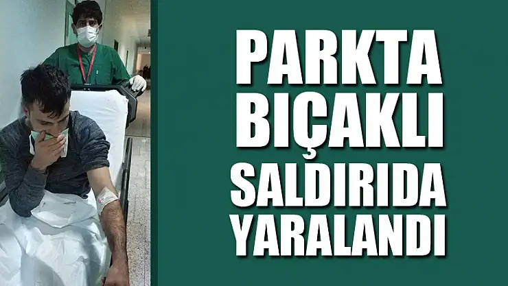 Parkta bıçaklı saldırıda yaralandı