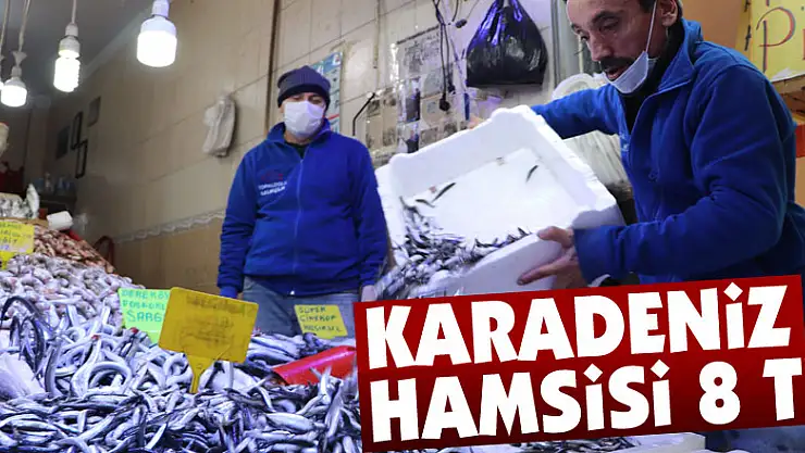 Karadeniz hamsisi 8 TL