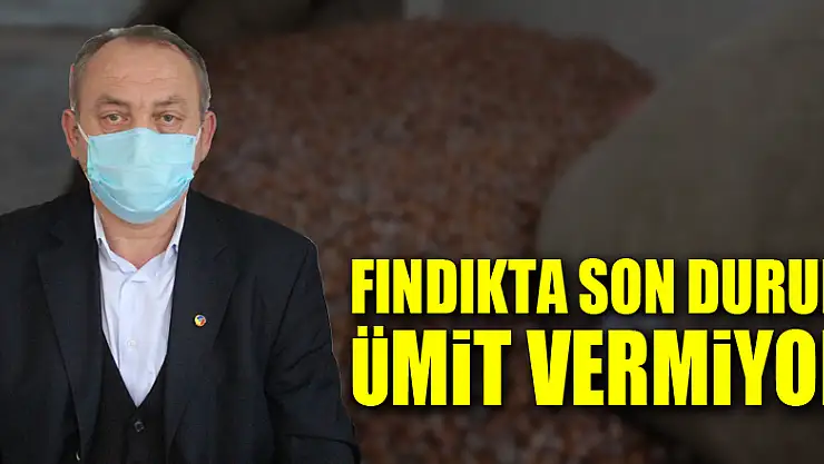 FINDIKTA SON DURUM ÜMİT VERMİYOR