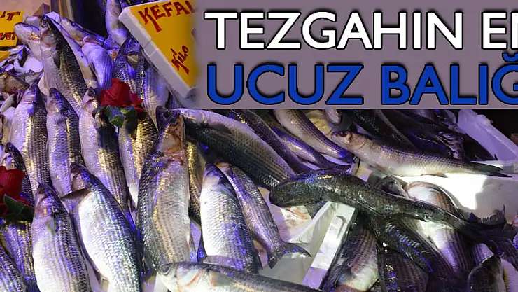 Kefal 15 lira ile tezgâhın en ucuz balığı oldu