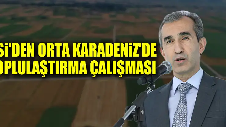 DSİ'den Orta Karadeniz'de toplulaştırma çalışması