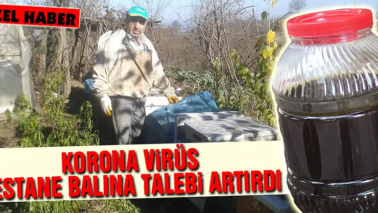 Korona virüs kestane balına talebi artırdı