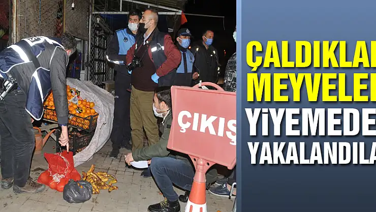Çaldıkları meyveleri yiyemeden yakalandılar