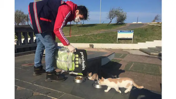 Samsun'da sokak hayvanları unutulmadı