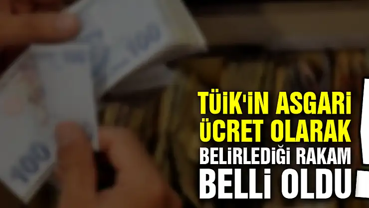 TÜİK'in asgari ücret olarak belirlediği rakam belli oldu!