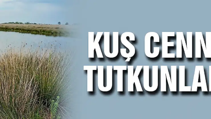 Kuş Cenneti fotoğraf tutkunlarını bekliyor