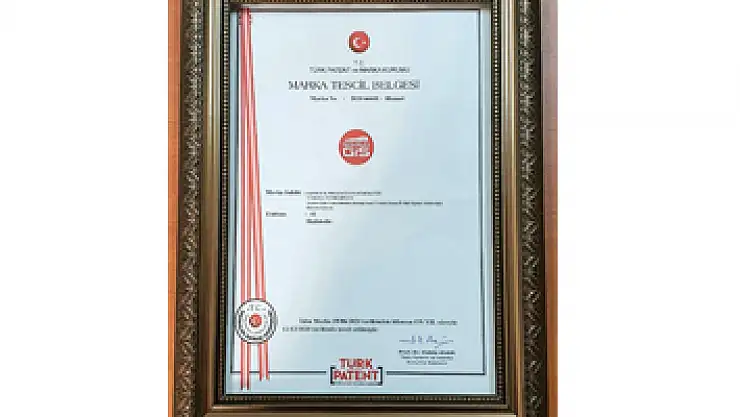 Samsun Öğrenci Gelişim İzleme ve Geri Bildirim Sistemi 'SAMGİS' markalaştı