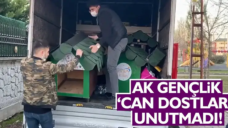 AK Gençlik 'can dostları' unutmadı!