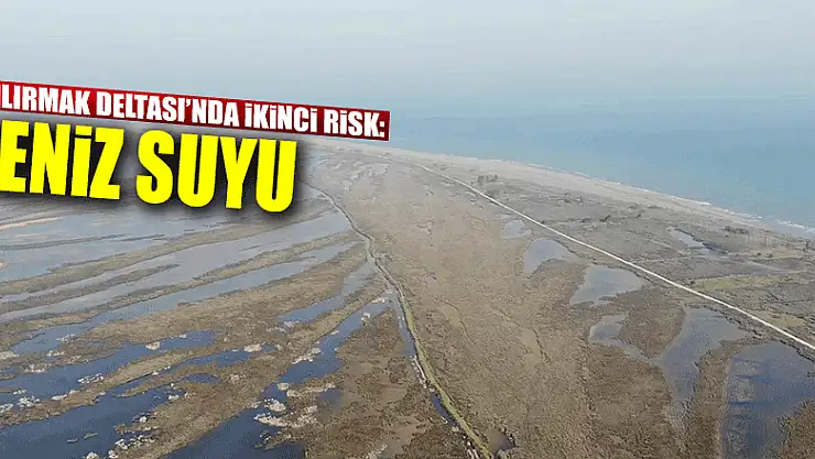 Kızılırmak Deltası'nda ikinci risk: Deniz suyu   