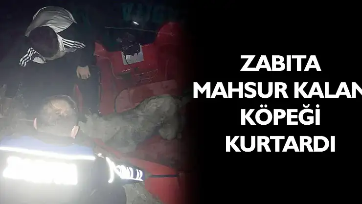 ZABITA MAHSUR KALAN KÖPEĞİ KURTARDI ​​​​​​​