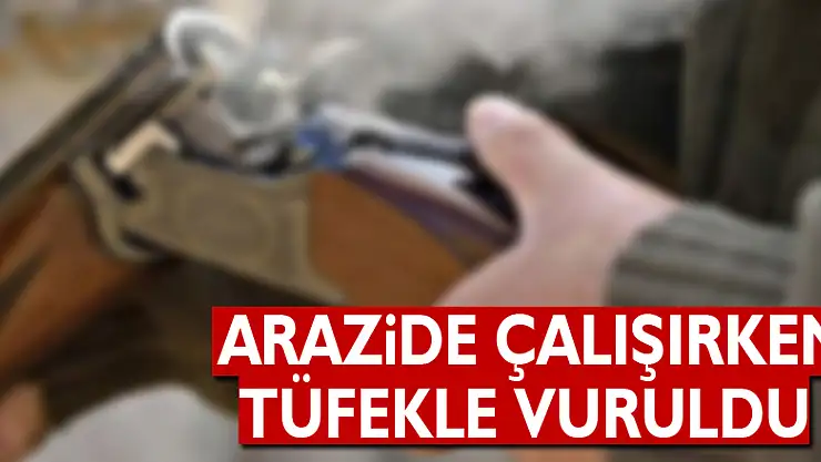 Arazide çalışırken tüfekle vuruldu