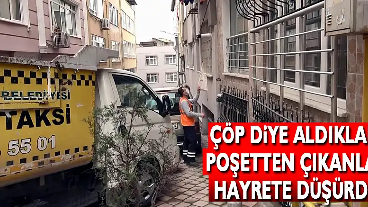 Çöp diye aldıkları poşetten çıkanlar hayrete düşürdü
